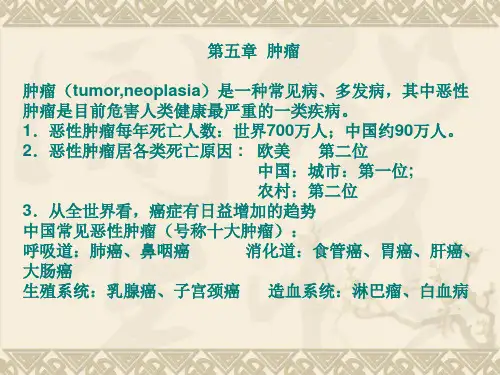 肿瘤教学ppt课件