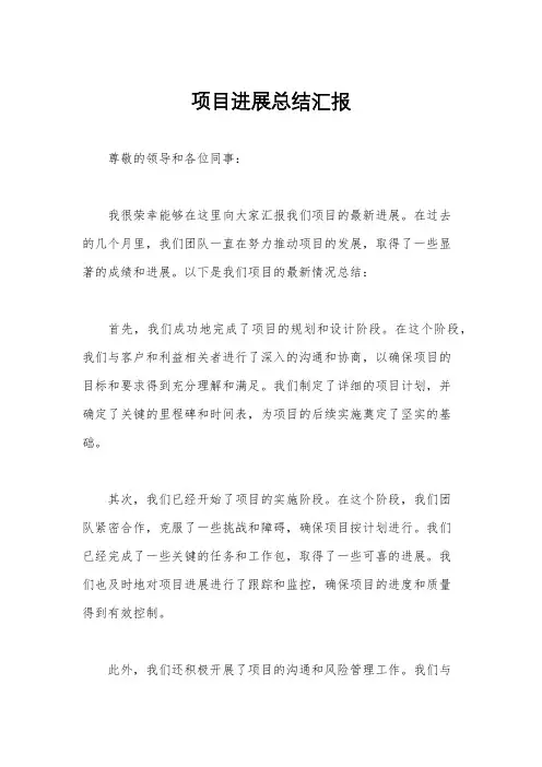 项目进展总结汇报