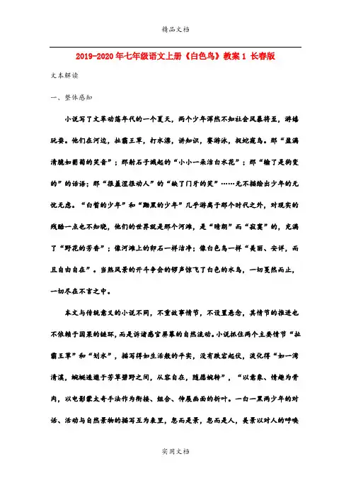 2021年七年级语文上册《白色鸟》教案 长春版