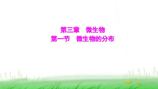 人教版七年级生物上册第二单元第三章第一节微生物的分布课件