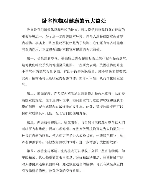 卧室植物对健康的五大益处