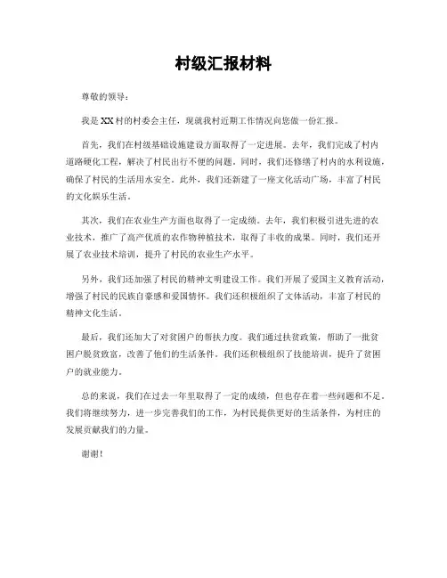 村级汇报材料