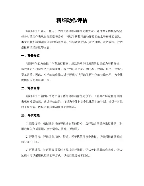 精细动作评估