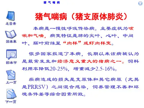 猪气喘病(猪支原体肺炎)