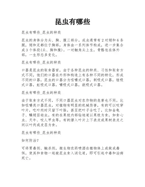 昆虫有哪些