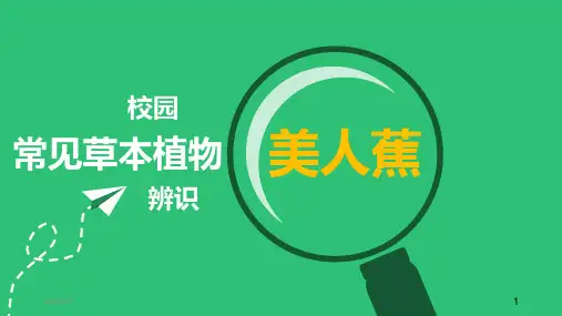 校园常见草本植物辨识