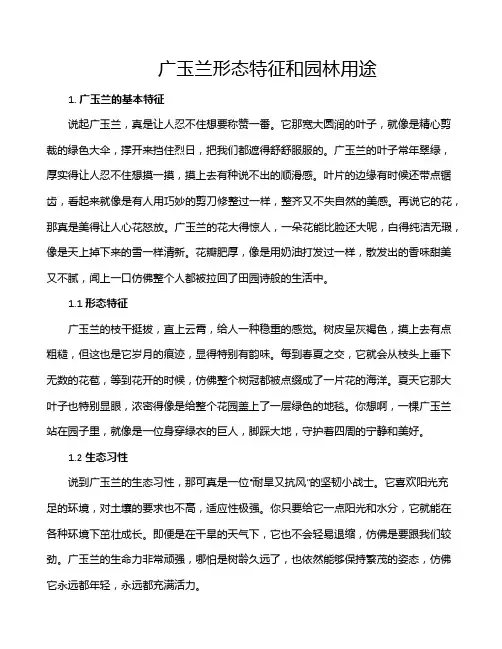 广玉兰形态特征和园林用途