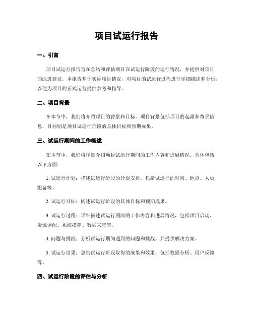 项目试运行报告