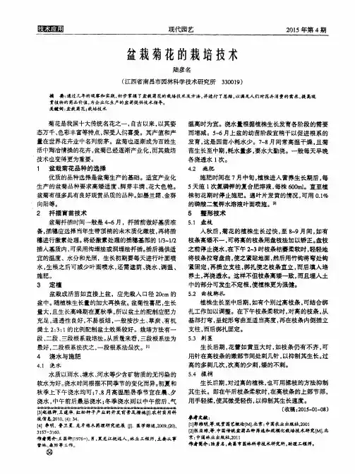 盆栽菊花的栽培技术