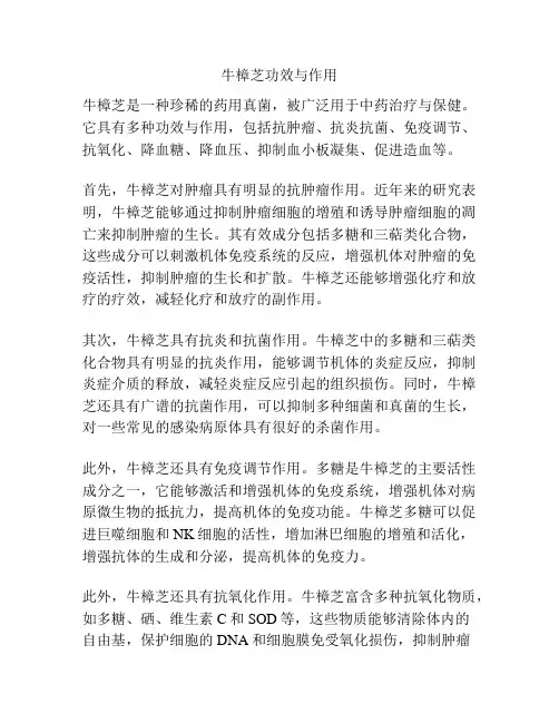 牛樟芝功效与作用