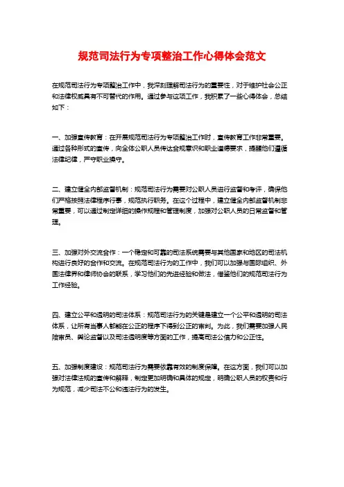 规范司法行为专项整治工作心得体会范文 (2)