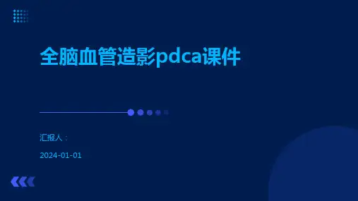 全脑血管造影pdca课件