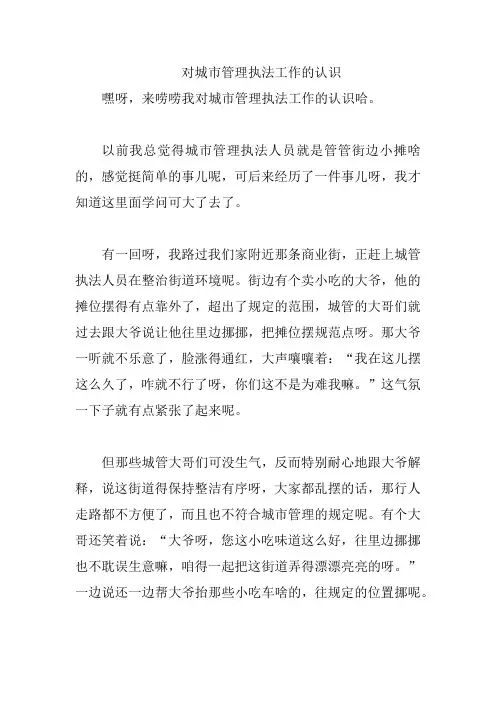对城市管理执法工作的认识
