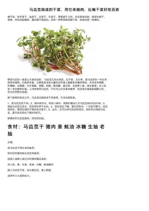 马齿苋做成的干菜，用它来烧肉，比梅干菜好吃百倍