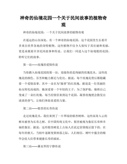 神奇的仙境花园一个关于民间故事的植物奇观