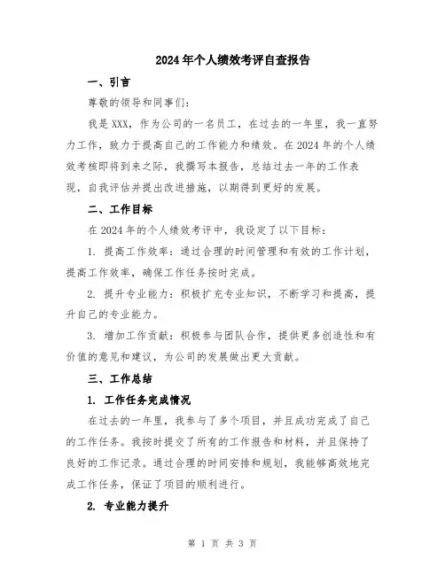 2024年个人绩效考评自查报告