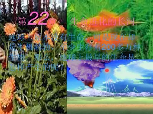 【初中生物】生命的起源PPT课件3