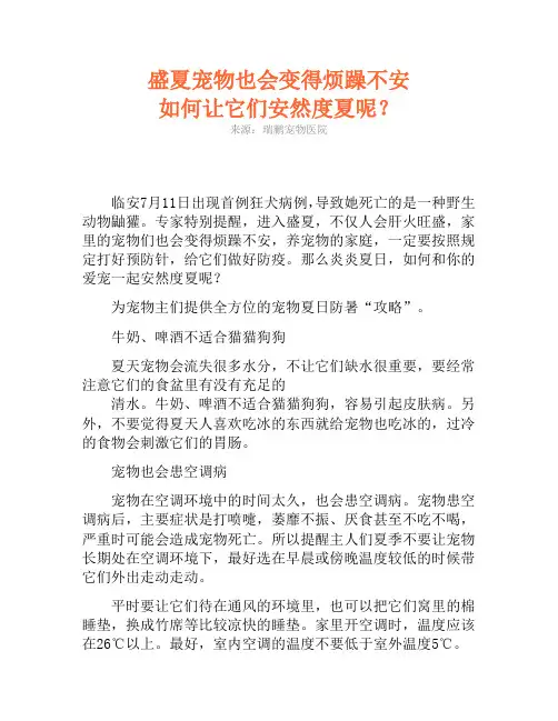 盛夏宠物也会变得烦躁不安 如何让它们安然度夏呢？