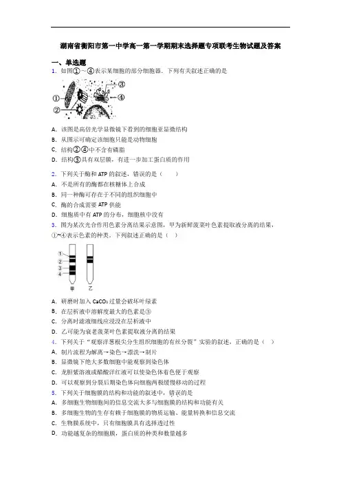 湖南省衡阳市第一中学高一第一学期期末选择题专项联考生物试题及答案