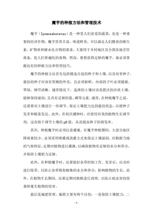 魔芋的种植方法和管理技术