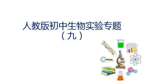实验九 观察叶片的结构-【实验直通车】初中生物全册实验分析设计精讲课件(人教版)