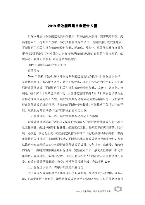 2019年效能风暴自查报告5篇