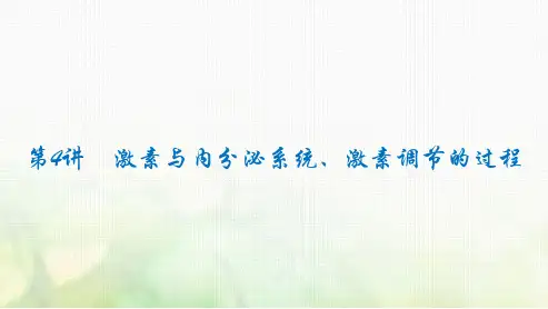 2024届高考生物一轮复习激素与内分泌系统、激素调节的过程课件