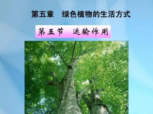 北师大版生物七年级上册5章5节运输作用精品课件