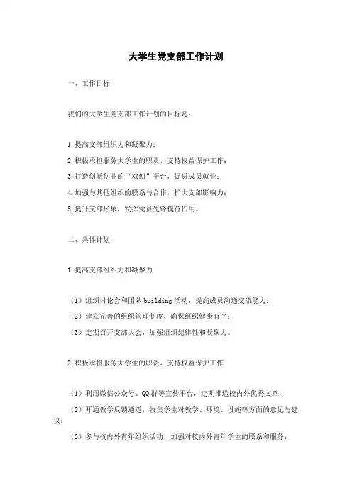 大学生党支部工作计划