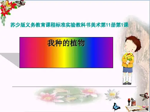 六年级美术上册我种的植物优秀PPT课件2苏少版