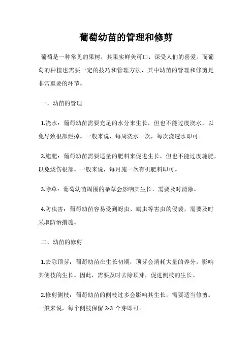 葡萄幼苗的管理和修剪