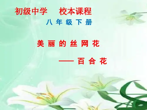 初中综合实践_美丽的丝网花——百合花教学课件设计