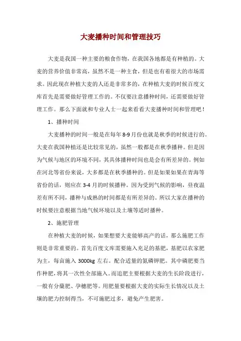 大麦播种时间和管理技巧