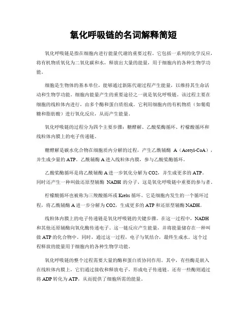 氧化呼吸链的名词解释简短
