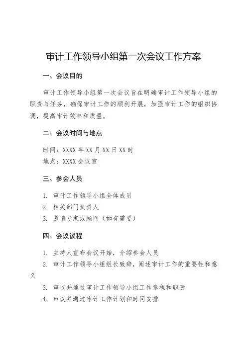 审计工作领导小组第一次会议工作方案