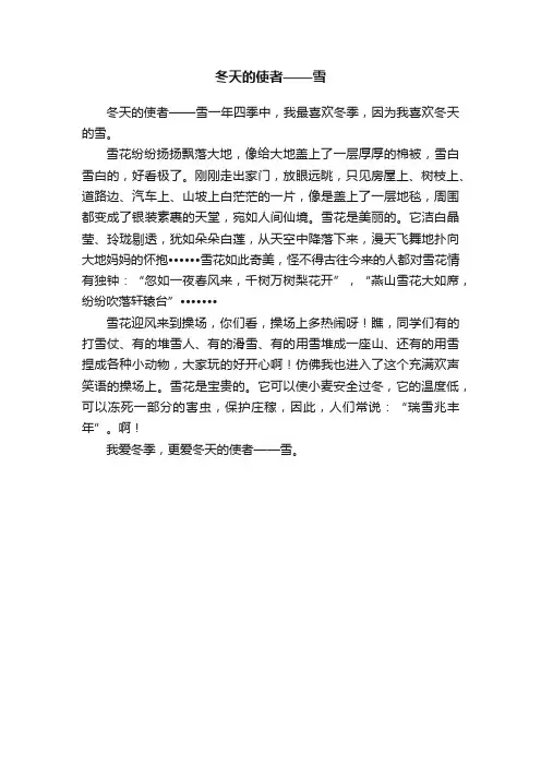 冬天的使者——雪