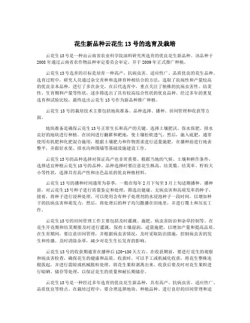 花生新品种云花生13号的选育及栽培