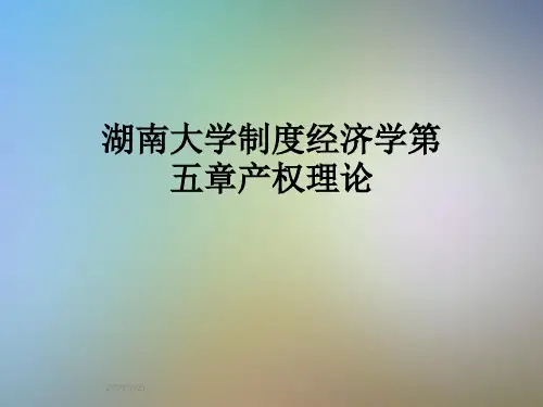 湖南大学制度经济学第五章产权理论