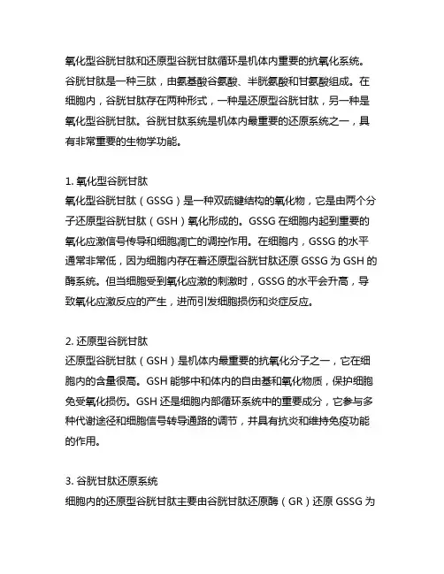 氧化型谷胱甘肽和还原型谷胱甘肽循环