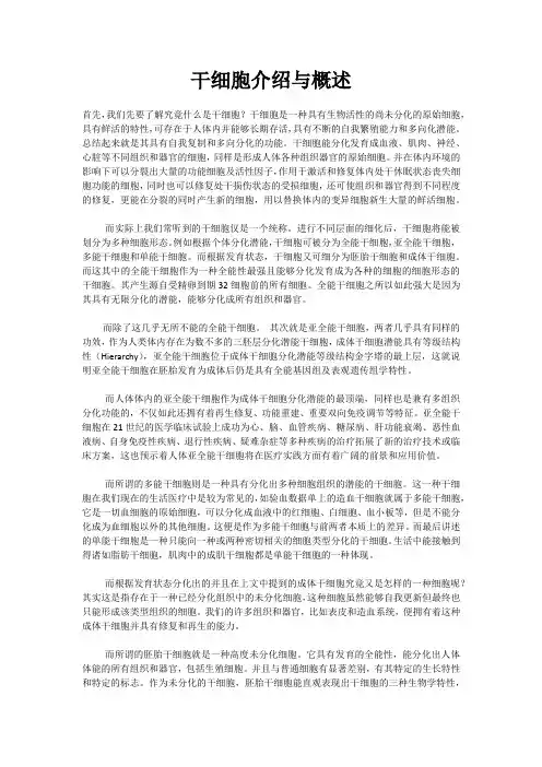 干细胞介绍与概述