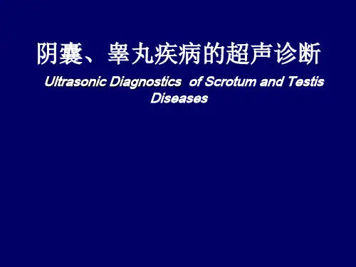 阴囊、睾丸疾病的超声诊断