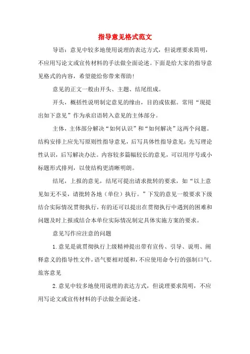指导意见格式范文