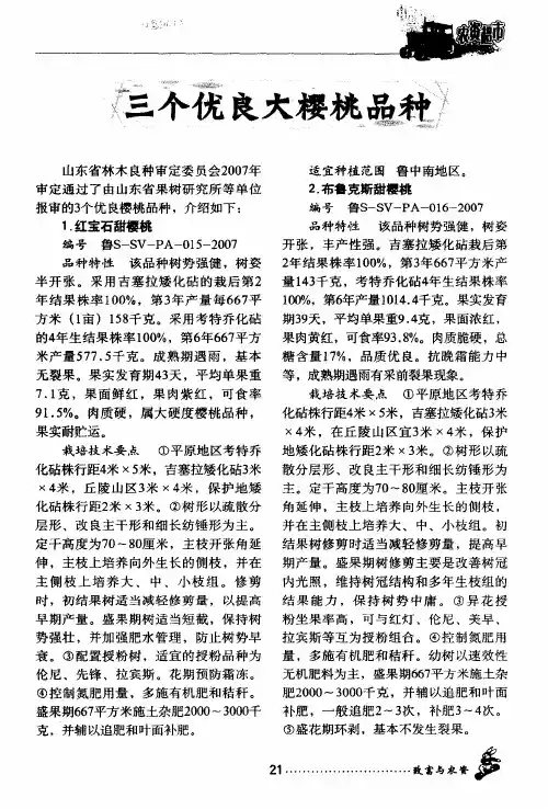 三个优良大樱桃品种