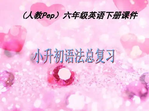 (人教PEP)六年级英语下册课件 小升初语法总复习 1