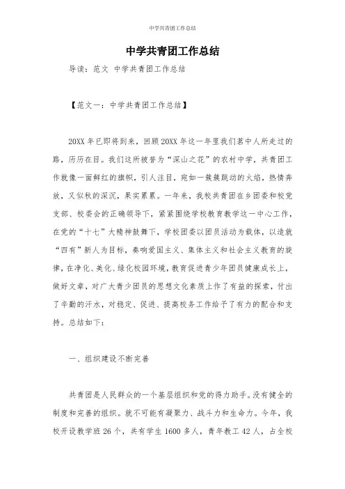 中学共青团工作总结