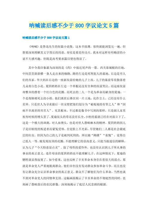 呐喊读后感不少于800字议论文5篇