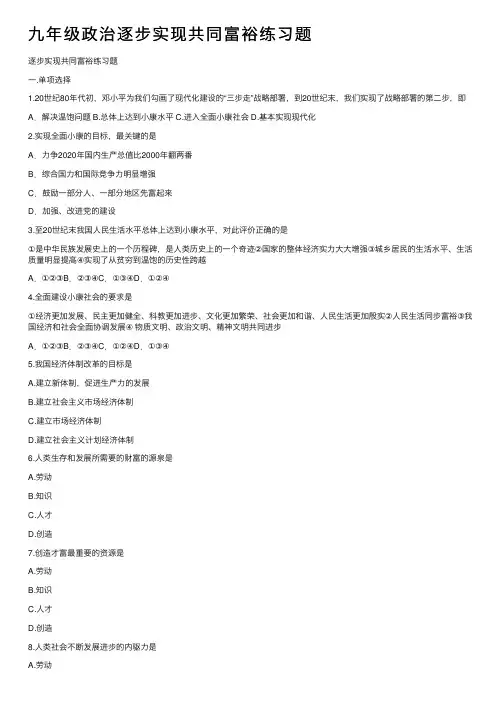 九年级政治逐步实现共同富裕练习题