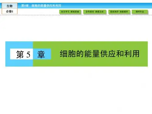 【高效导学】2015版高中生物(RJ)必修1课件：5.1降低化学反应活化能的酶