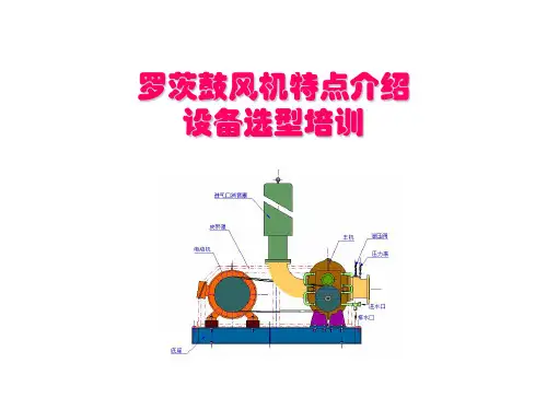 氧化风机(罗茨风机)特点介绍及选型培训