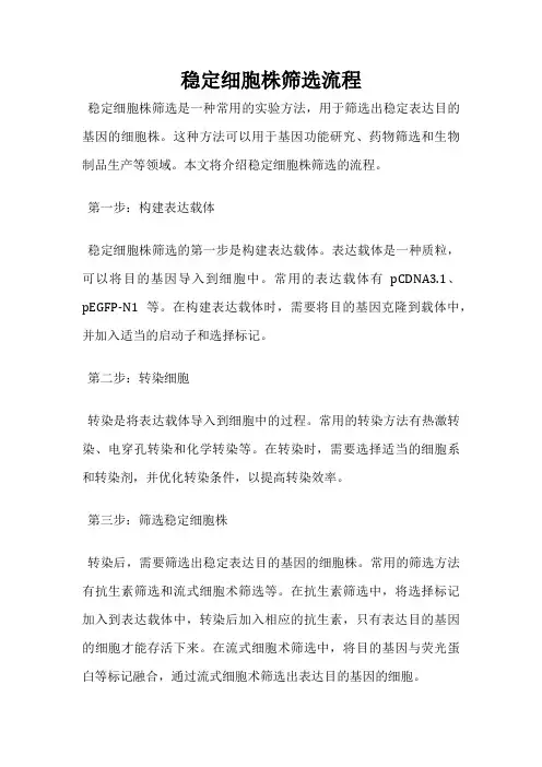 稳定细胞株筛选流程